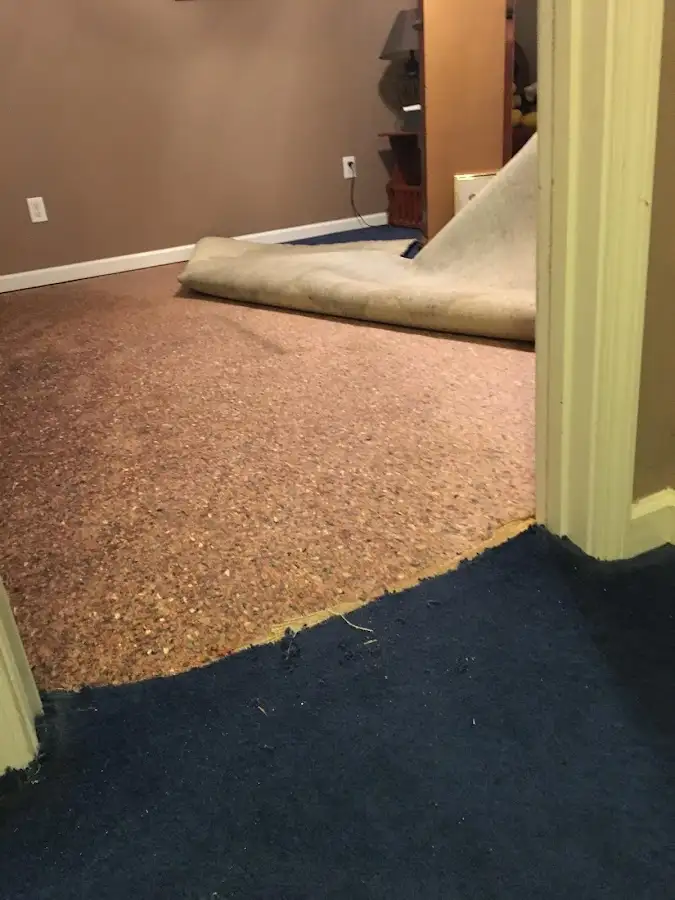 Carpet pad removal revealing water damage during Drying & Dehumidification in Ridgeland