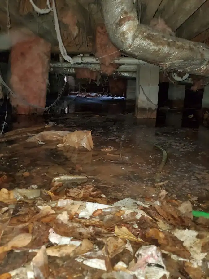 Crawl space flood assessment for Commercial Water Damage Restoration in Ridgeland